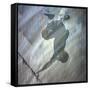 Skater I-Karen Williams-Framed Stretched Canvas