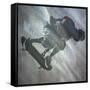 Skater II-Karen Williams-Framed Stretched Canvas