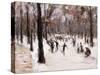 Skaters in the Tiergarten, Berlin; Eislaufer Im Berliner Tiergarten, 1924-Max Liebermann-Stretched Canvas
