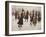 Skaters-Yuri Denissov-Framed Giclee Print