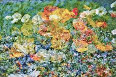 Flowers, Art-Skaya-Photographic Print