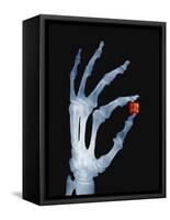 Skeletal Hand Holding Computer Chip-Charles O'Rear-Framed Stretched Canvas