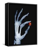 Skeletal Hand Holding Computer Chip-Charles O'Rear-Framed Stretched Canvas