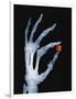 Skeletal Hand Holding Computer Chip-Charles O'Rear-Framed Photographic Print