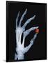 Skeletal Hand Holding Computer Chip-Charles O'Rear-Framed Photographic Print