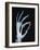 Skeletal Hand Holding Computer Chip-Charles O'Rear-Framed Photographic Print