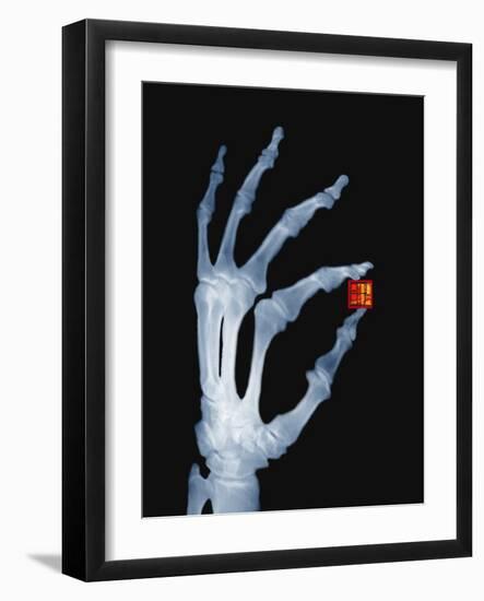 Skeletal Hand Holding Computer Chip-Charles O'Rear-Framed Photographic Print