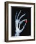 Skeletal Hand Holding Computer Chip-Charles O'Rear-Framed Photographic Print