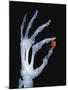 Skeletal Hand Holding Computer Chip-Charles O'Rear-Mounted Photographic Print