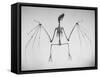 Skeletal Structure of a Bat-Andreas Feininger-Framed Stretched Canvas