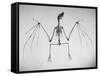 Skeletal Structure of a Bat-Andreas Feininger-Framed Stretched Canvas