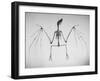 Skeletal Structure of a Bat-Andreas Feininger-Framed Photographic Print