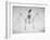 Skeletal Structure of a Bat-Andreas Feininger-Framed Photographic Print