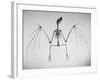 Skeletal Structure of a Bat-Andreas Feininger-Framed Photographic Print