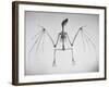 Skeletal Structure of a Bat-Andreas Feininger-Framed Photographic Print