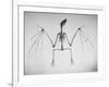 Skeletal Structure of a Bat-Andreas Feininger-Framed Photographic Print