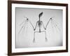 Skeletal Structure of a Bat-Andreas Feininger-Framed Photographic Print