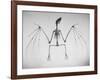 Skeletal Structure of a Bat-Andreas Feininger-Framed Photographic Print