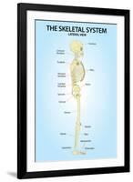 Skeletal System Lateral View Anatomy-null-Framed Art Print