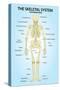 Skeletal System Posterior View Anatomy Print Poster-null-Stretched Canvas