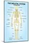 Skeletal System Posterior View Anatomy Print Poster-null-Mounted Poster