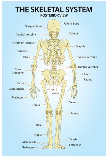 Poster, , large