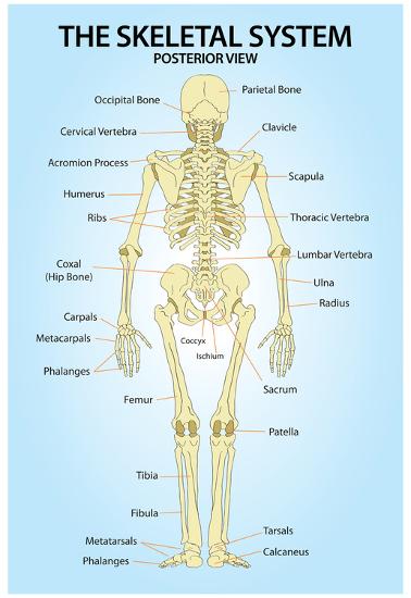Poster, , large
