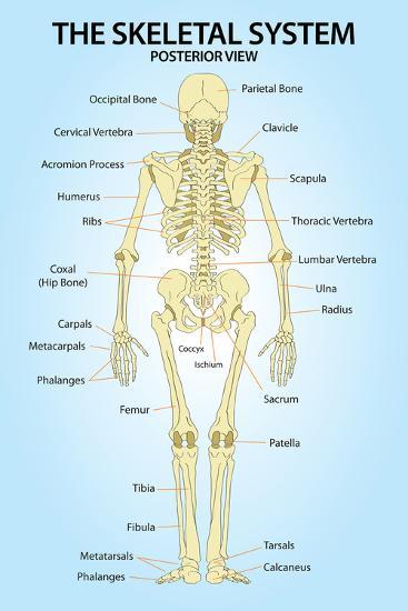 Poster, , large