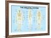 Skeletal System Triple View Anatomy-null-Framed Art Print