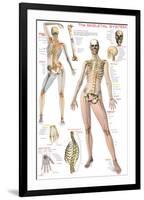 Skeletal System-null-Framed Premium Giclee Print