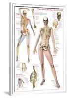 Skeletal System-null-Framed Premium Giclee Print