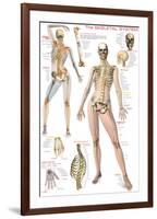 Skeletal System-null-Framed Premium Giclee Print