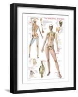 Skeletal System-null-Framed Art Print