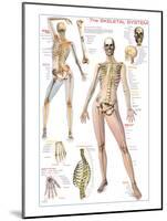 Skeletal System-null-Mounted Art Print