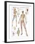 Skeletal System-null-Framed Art Print