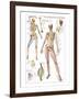 Skeletal System-null-Framed Art Print