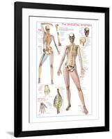 Skeletal System-null-Framed Art Print