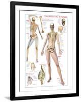 Skeletal System-null-Framed Art Print