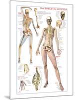 Skeletal System-null-Mounted Art Print