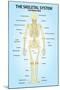 Skeletal Systemior View Anatomy-null-Mounted Art Print