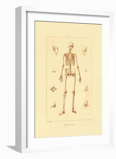 Skeleton, 1833-39-null-Framed Giclee Print