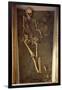 Skeleton and Funerary Objects Found in a Burial Site-null-Framed Giclee Print