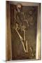 Skeleton and Funerary Objects Found in a Burial Site-null-Mounted Giclee Print