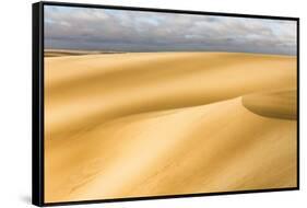 Skeleton Coast, Namibia. Sand Dunes. Digitally Altered-Janet Muir-Framed Stretched Canvas