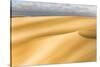 Skeleton Coast, Namibia. Sand Dunes. Digitally Altered-Janet Muir-Stretched Canvas