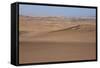 Skeleton Coast Park, Namibia, Africa-Thorsten Milse-Framed Stretched Canvas