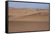 Skeleton Coast Park, Namibia, Africa-Thorsten Milse-Framed Stretched Canvas