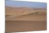 Skeleton Coast Park, Namibia, Africa-Thorsten Milse-Mounted Photographic Print