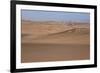 Skeleton Coast Park, Namibia, Africa-Thorsten Milse-Framed Photographic Print
