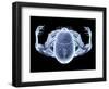 Skeleton From Above, X-ray Artwork-David Mack-Framed Premium Photographic Print